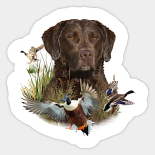 Chesapeake Bay Retriever, Art Sticker